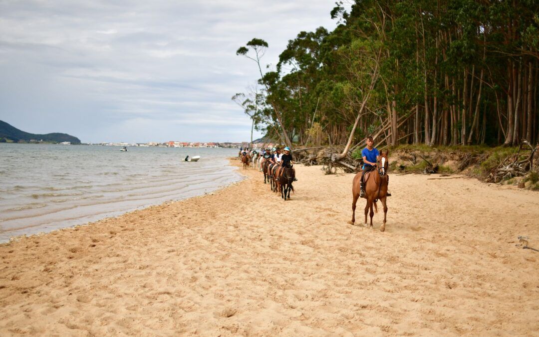 Paseo a Caballo en la Costa Cantabra