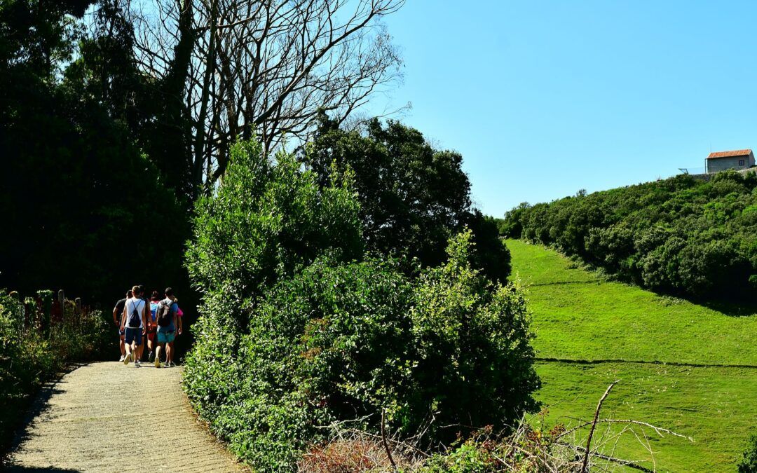 Excursiones de Un Día Desde Castillo Siete Villas