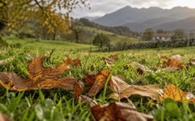 Cantabria en otoño: qué hacer cerca de Arnuero, Noja y Santoña