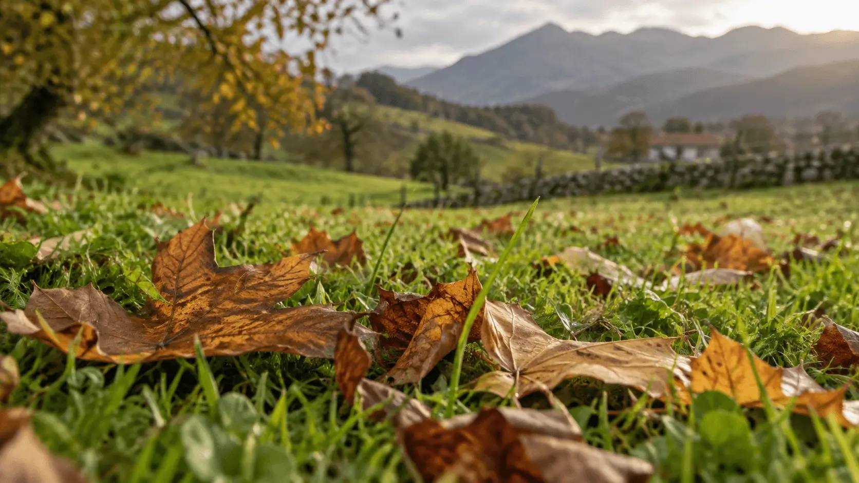 Paisaje de Cantabria en otoño cerca de Arnuero, Noja y Santoña